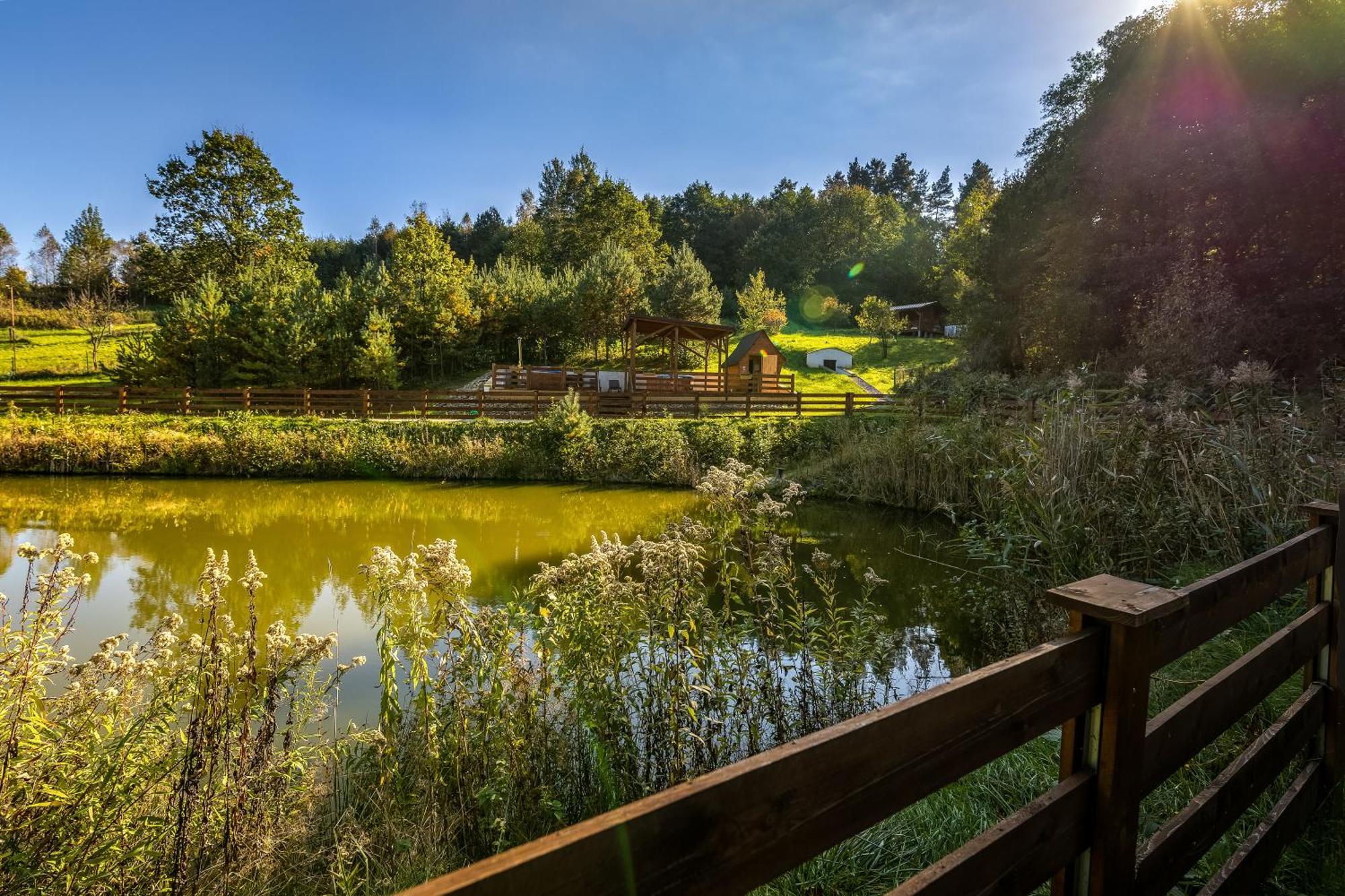 Отель Glamping Pod Gwiazdami Pietrusza Wola Экстерьер фото